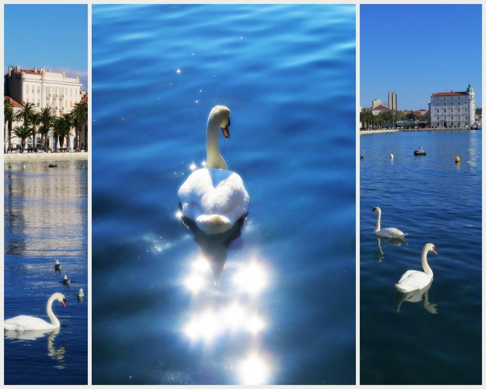 Residenza Apartments Split Szoba fotó